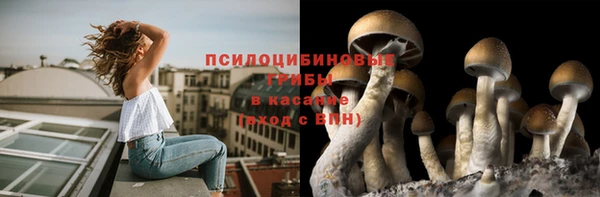а пвп мука Алзамай