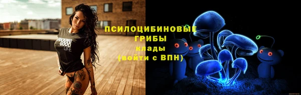 PSILOCYBIN Алексеевка