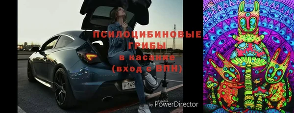 PSILOCYBIN Алексеевка
