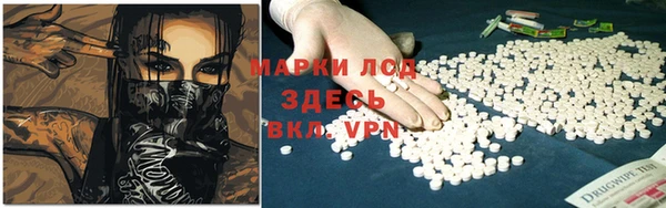 СК Алексин