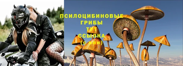 PSILOCYBIN Алексеевка