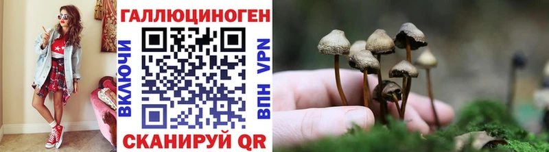 blacksprut как войти  Амурск  Галлюциногенные грибы MAGIC MUSHROOMS 