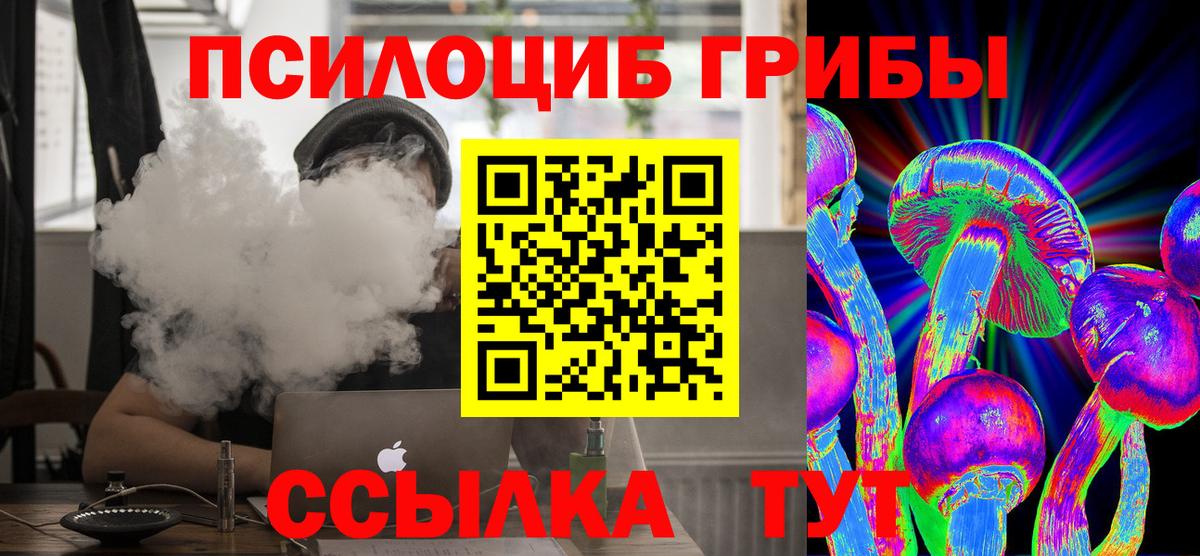 Псилоцибиновые грибы прущие грибы Амурск