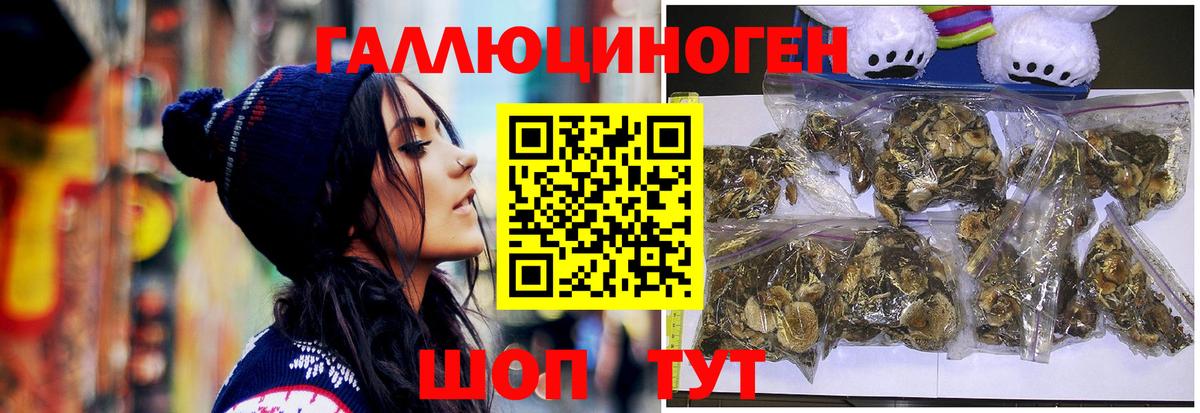 Амурск  Галлюциногенные грибы прущие грибы  Вход с VPN 
